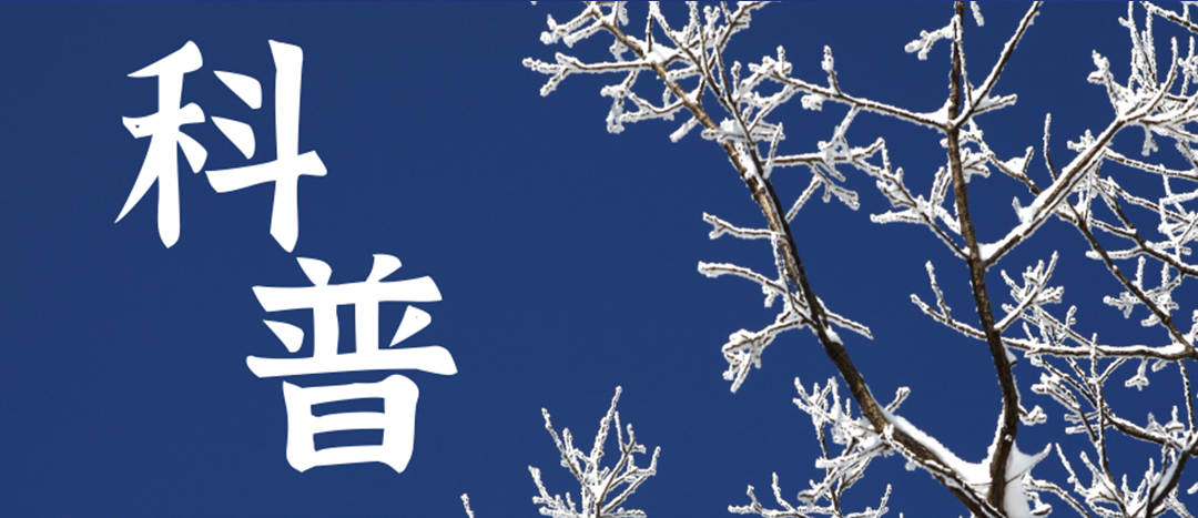 科普 | 冬季雨雪天氣?；愤\(yùn)輸車輛注意事項(xiàng)